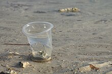 Engangskrus - one time cup in plastics on the beach of Bantayan 3.jpg