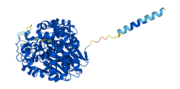 Miniatura per Gamma-glutamiltransferasa