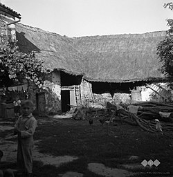 Gospodarsko poslopje v Orehku, foto: Fanči Šarf (1955)