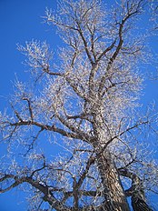 Colorado, U.S.A.