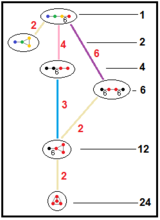 Hyperbolic subgroup tree 336-direct.png