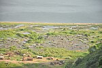 A view from above at a lake shore with pools for salt production