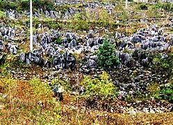Đá tai mèo và hố sụt do Karst trong đá vôi thuộc xã Sính Lủng
