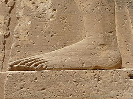 T.h. En så kallad egyptisk fot. Notera att stortån är längst. T.v. Egyptisk relief av en "egyptisk fot" i profil.