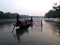 Pescari cu vidre cu plase, în Bangladesh