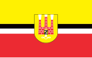 Drapeau de Żyrardów