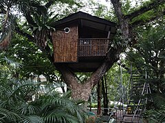 Pasonanca Park Tree House