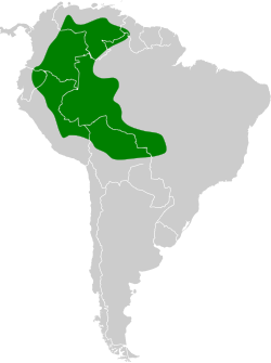 Distribución geográfica del ermitaño barbiblanco.