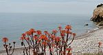 Platja de les Coves (Sitges)