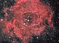 ROSETTE NEBULA / 玫瑰星雲