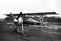 Siemens Schuckert D.III