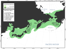 Разпространение на петна в Берингово море и околните райони.png