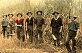 Cortadores de cañas en Ayr, Australia (1907)