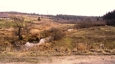 Wiks va Striy kuksa