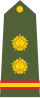 Subedar - Risaldar of the Indian Army.svg