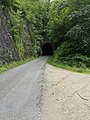 Un des tunnels des gorges de la Ribaute conçu pour une ligne ferroviaire jamais installée, aujourd'hui employé par une route en sens unique, en juin 2020.