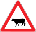 Domestic Animals can cross on the road