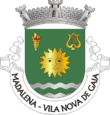 Vlag van Madalena