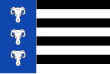 Vlag van Waskemeer