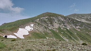 Поглед на врвот Залина