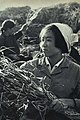 1963-12 1963年 知青侯雋