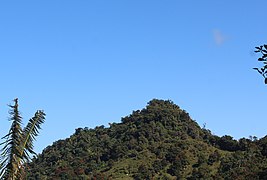 Close-up of the summit from Borinquen, Caguas.
