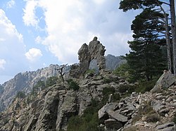 Vue de l'Arche de Corte.