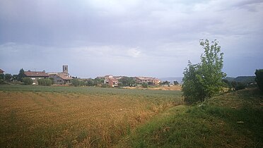 Avià from the swimming pool