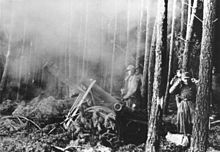 German troops defending the Hurtgen in November 1944. Bundesarchiv Bild 183-J28303, Hurtgenwald, schweres Infanteriegeschutz.jpg