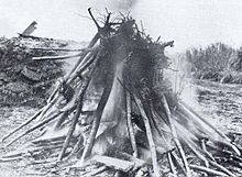 The first gift of 2000 cherry trees was burned by the giftee after a few insects and nematodes were discovered Burning cherry tree gift, 1910.jpg