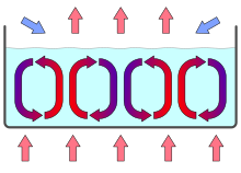 Convection cells in a gravity field ConvectionCells.svg