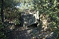 Dolmen de la Cigalière