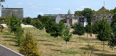 Grüngürtel Nord: im Hintergrund die Thyssenkrupp-Hauptverwaltung