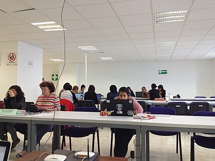 Participants editing Wikipedia