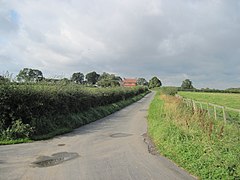 A country road with hedges and fields on either side