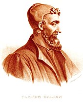 vai chân dung cao của một người đàn ông với bộ râu và ria mép đội một chiếc mũ