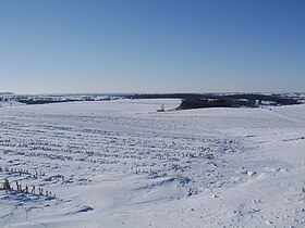 Scales Mound Township