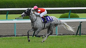 Gold_Ship_Takarazuka_kinen_2014.jpg