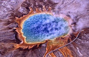 Thermophiles, a type of extremophile, produce some of the bright colors of Grand Prismatic Spring, Yellowstone National Park