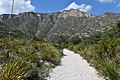 Wanderweg in das McKittrick Canyon