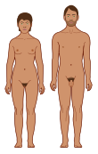 Human body features.svg