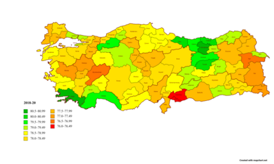 Life expectancy map of Turkey 2018-20 with names.png