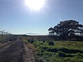 Looking at Mount Tam from San Pablo Bay trail on Mare Island