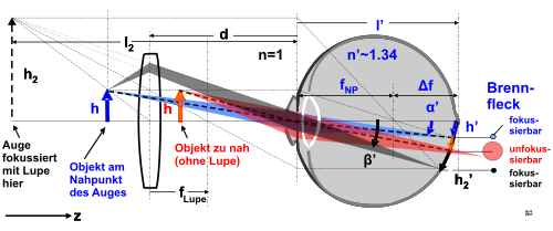 Strahlengang in der Lupe (schwarz) im Vergleich zur Betrachtung ohne Lupe (blau). Das Objekt wird im Nahpunkt des Auges gehalten. Bei weitere Näherung ohne Lupe kann das Auge nicht mehr fokussieren (rot).