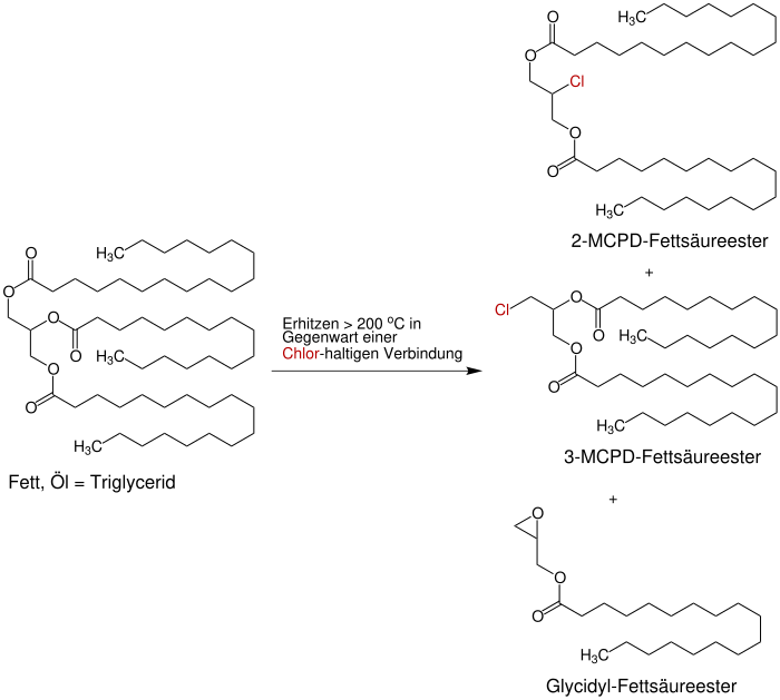 Schematische Darstellung der Bildung eines 2-MPCD-Fettsäureesters, eines 3-MCPD-Fettsäureesters und eines Glycidyl-Fettsäureesters aus einem Fett oder Öl.