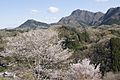 2017年5月13日 (土) 11:33時点における版のサムネイル