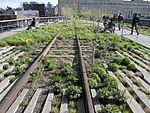 Artikel: High Line