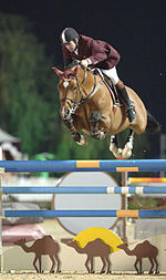 Jumper obstacles are generally very high and brightly colored. Nick Skelton on Arko.jpg