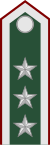 Норвегия-Армия-OF-5 WW2.svg