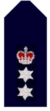 Nsw-police-force-Chief-superintendent.png